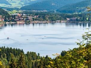 Zwarte Woud en Frankrijk, Endingen