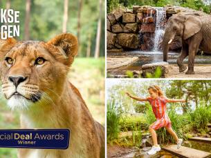 Entree Safaripark Beekse Bergen