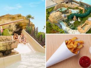 Entree voor Swimfun Joure + friet en saus