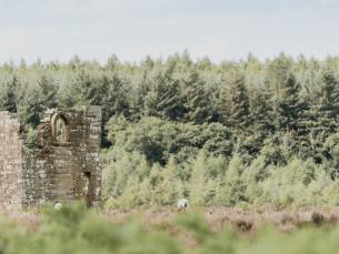 Wandelen door de North York Moors