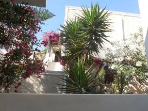 Dolphins Appartementen