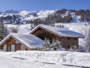 Chalet L'Arpette Lodge