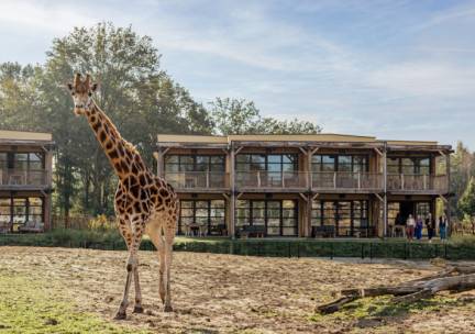 Safari Hotel Beekse Bergen