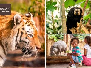 Entree ZooParc Overloon