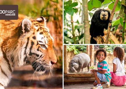 Entree ZooParc Overloon