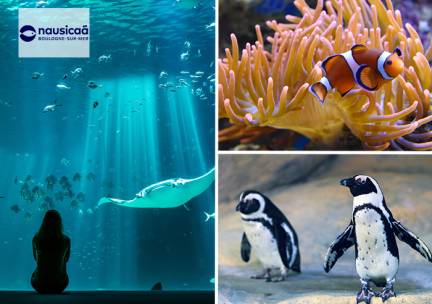 Entree Nausica&aacute;, het grootste aquarium van Europa