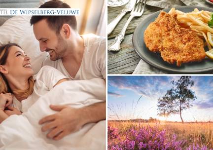Overnachting(en) voor 2 + ontbijt + 2-gangen keuzediner in de Veluwe