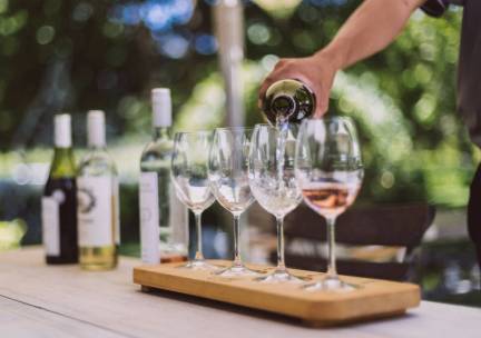 Ontdek de Kaapse Wijnlanden