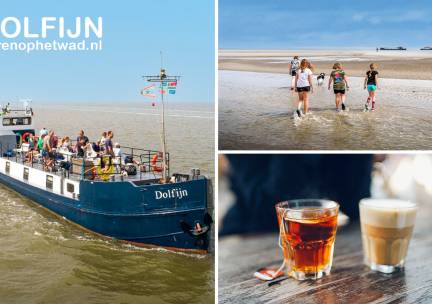Vaartocht op de Waddenzee (2 of 4 uur) + koffie/thee of evenement