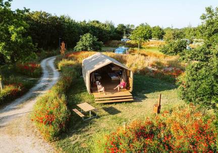 Wikkeltent