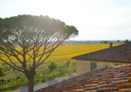 Le Terre dei Cavalieri Appartementen