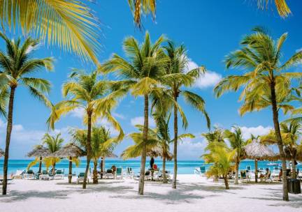 VAAR MEE DOOR DE CARA&Iuml;BEN! ????️ Vertrek 22 maart 2027! 14-daagse reis incl. 12-daagse cruise van Miami naar o.a. de Bahama's, Dominicaanse Republiek & ABC-eilanden o.b.v. volpension of all-inclusive, incl. vlucht & voorovernachting!