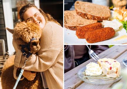 Alpaca Meet & Feed incl. gebak + drankje naar keuze of 12-uurtje bij Wilgenhart
