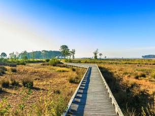 Verblijf in het gastvrije Drenthe incl. ontbijt, 3-gangendiner en GRATIS fietsmagazine met fietsroutes!