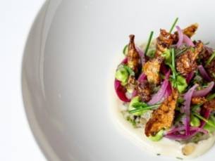 6-Gangen rising star diner bij De Compagnon in Amsterdam