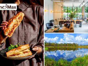 Wandelarrangement bij Anne&Max Breda Wilhelminastraat