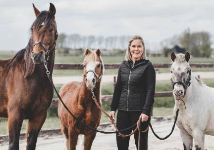 1 of 3 sessies paardencoaching (Ã  60 min)