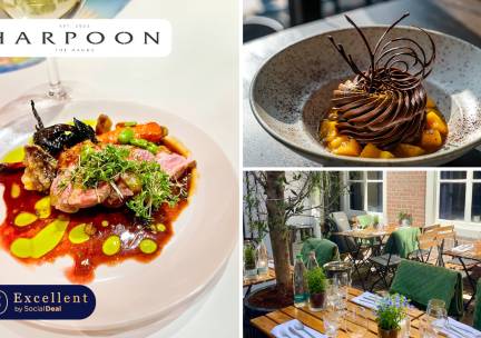 3-, 4- of 5-gangendiner van de chef bij Harpoon
