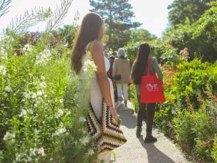 Ausflug nach Giverny, Monets Gärten und Schloss Versailles mit Audioguide und Mittagessen