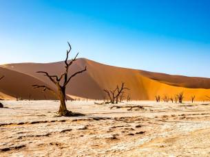 Highlights Avontuurlijk Namibi&euml; Deluxe