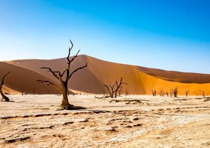 Highlights Avontuurlijk Namibi&euml; Deluxe