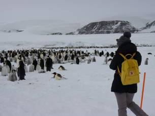 Weddellmeer - Auf der Suche nach dem Kaiserpinguin (inkl. Hubschrauber)