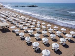 Barut Goia