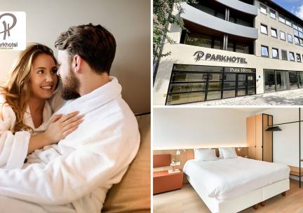 Overnachting voor 2 in wellness suite + ontbijt + welkomstdrankje + late check-out