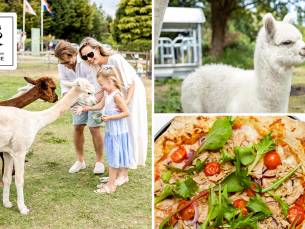 Alpacawandeling (1 tot 2,5 uur) + meer