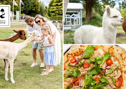 Alpacawandeling (1 tot 2,5 uur) + meer