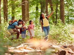 ???? RAZENDSNELLE DEAL! ???? Ontdek de groene Ardennen met het gezin vanuit een vakantiepark in Vielsalm