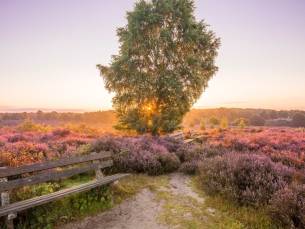 Geniet in een heerlijk 4*-landgoedhotel op de Veluwe + zwembad incl. ontbijt, hoofdgerecht & GRATIS parkeren