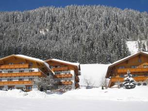 Appartementen Alpin Apart