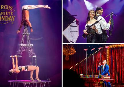 Entree voor Circus Variété Ronday