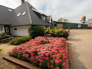 Boerderijcamping Vrije Vogel