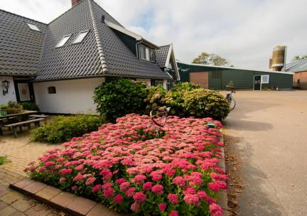 Boerderijcamping Vrije Vogel