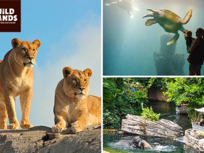 Dagentree voor WILDLANDS Adventure Zoo Emmen