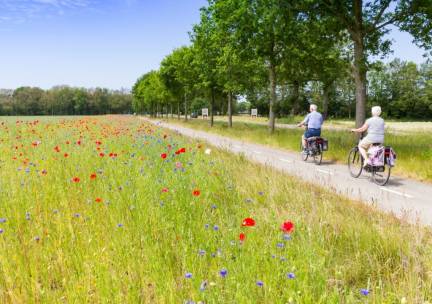 UNIEK OVERNACHTEN in Tweepersoonskamer of VRIJSTAAND huisje middenin de NATUUR nabij het Drents-Friese Wold