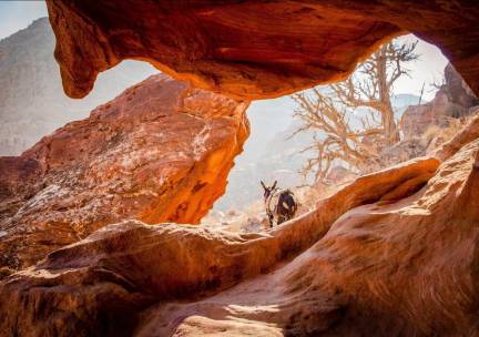 Priv&eacute;rondreis Ontdek Jordani&euml;