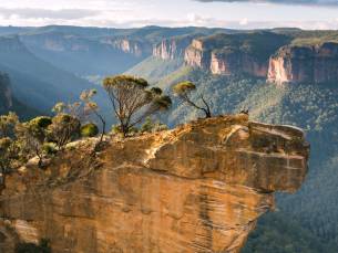 Kusten, Koraal en Regenwoud in Oost-Australi&euml; Superior