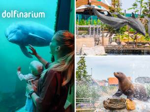 Entree voor het Dolfinarium
