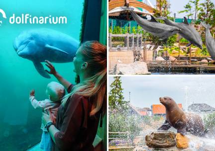 Entree voor het Dolfinarium
