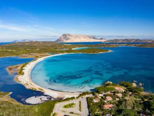 Sardini&euml; op het gemak