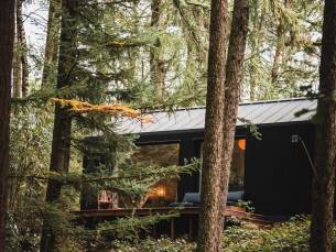 Cabin in bos - 2 Persoons (DE)