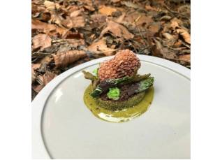 10-Gangen Michelin diner, Duiven bij't Raedthuys