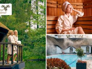 Dag- of avondentree voor Sauna DrÃ´me Putten