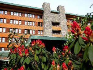 Busreis Disney Sequoia Lodge *** - Magisch Arrangement