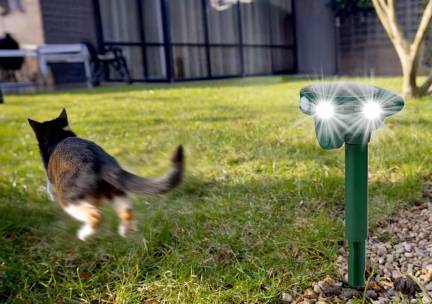 Dierenverjager Solar - Diervriendelijk Verjagen! ...