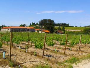 Lousada Country Hotel