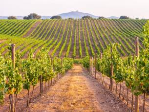 Algarve, Alentejo en Lissabon